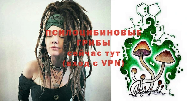 дурь Аркадак