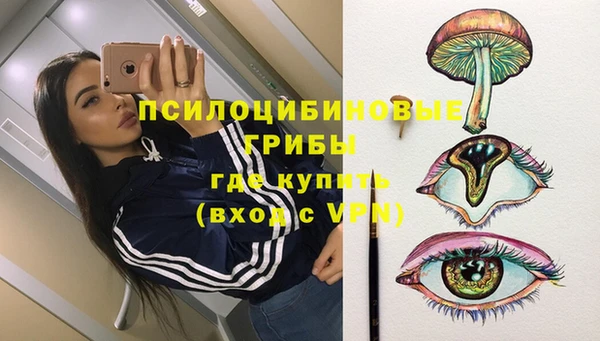 дурь Аркадак