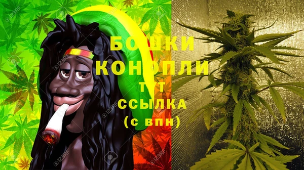 дурь Аркадак